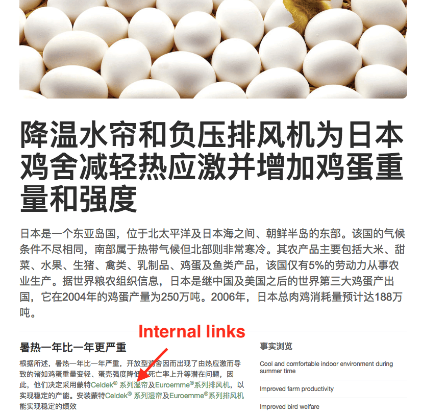 on-page seo.png